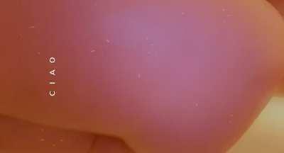 hi to my 3 fans here :)