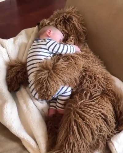 Cuddling up together