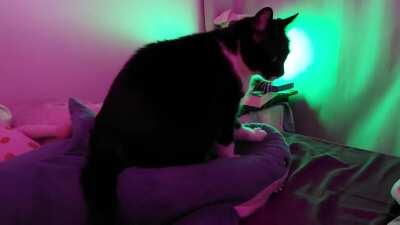 He just loves massaging his shark.