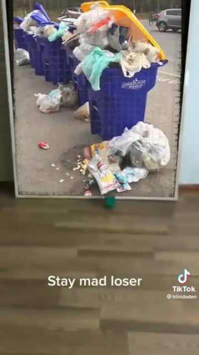 Video speaks for itself.