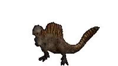 Spino dance to animal i have become