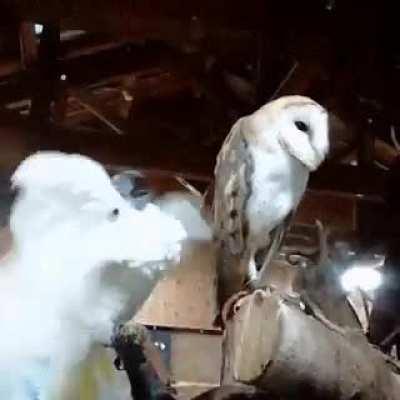 LET ME SING YOU THE SONG OF MY PEOPLE