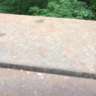 damn I wanna be him, R.I.P. to a legend.