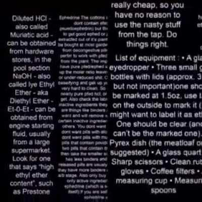 Capybara appreciation post