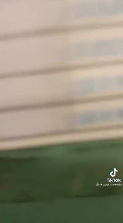 Olha acho que vou compra ele