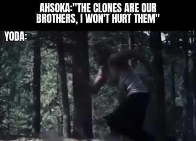 Yoda during the 66 order