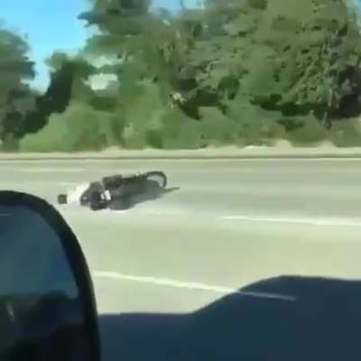 I’m sure he survived... sorry if this is a repost...