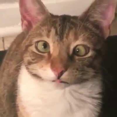 When she compliments your eyes