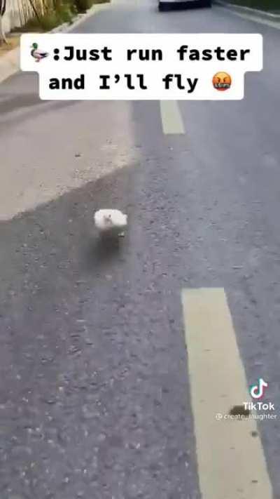 lil lightning legs 🦆