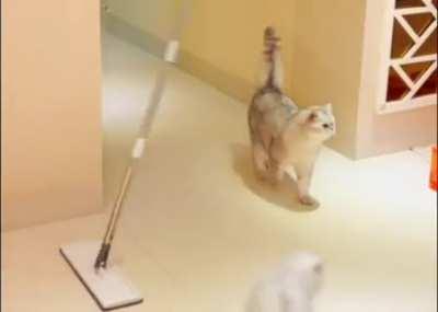 Orchestrating the perfect bonk.