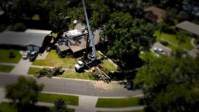 I caught this guy in action.