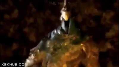 When you finally kill the g100.49 spitfire camper, but it only took you 3 titans.