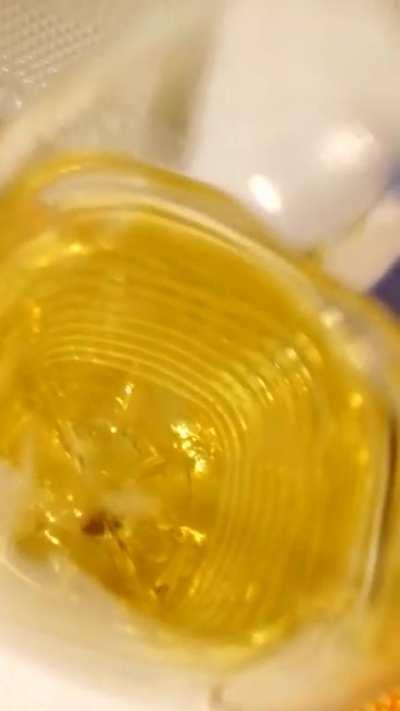 whippity whoppity your life is now my property 😋😜