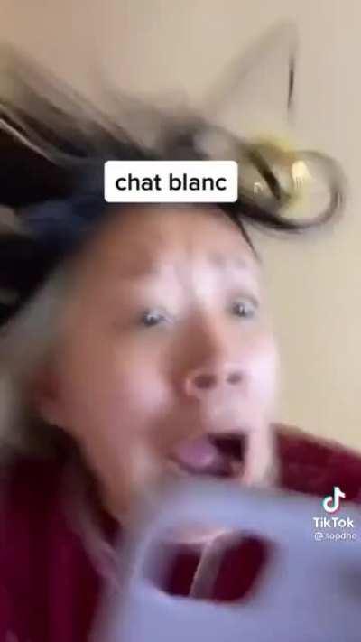 this has me dead lmao (sentibubbler spoiler) credit:sopdhe on tiktok