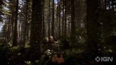 I made the fourth trailer for SOTF