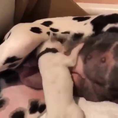 Time to bottle feed.