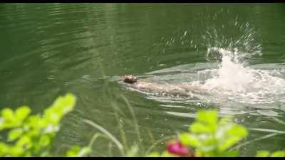 Cécile de France - Bonnard, Pierre & Marthe (FR2023) (2/2)