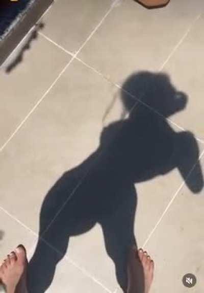 THE GREAT SHADOW EVER