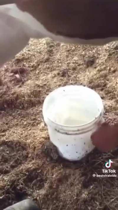 Little man was traumatized