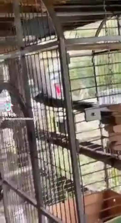 I scream, you scream