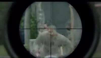 1 bird with 4 stones...wait