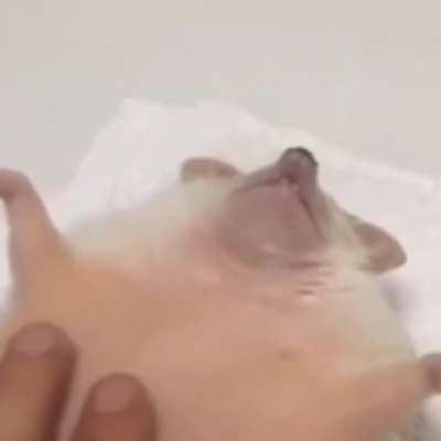 Thanks, I love jelly rubs and smooth jazz