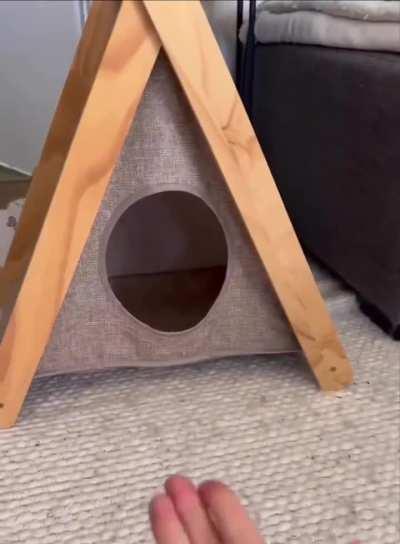 The best place to sleep, indeed.