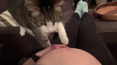 Kitty realizes mom is pregnant and has the sweetest reaction