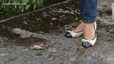 SquishCity - Video #9315