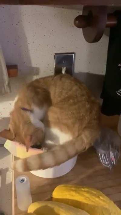 Dude, that’s the Chickens Egg Shell bucket.