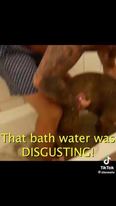 Watching Steve-O sober up is the greatest thing