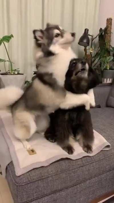 Who is your best friend?