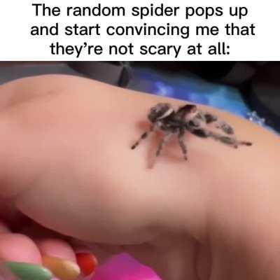 STEP THE FUCK BACK // original video credit: u/Otherwise-Island-512