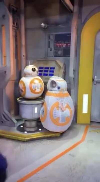 Lil chad warms everyone's hearts. Wholesome