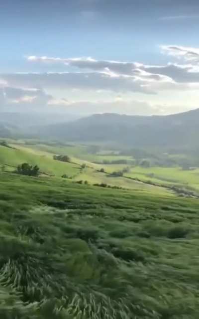 🔥 Sea of grass in Bologna, Italy