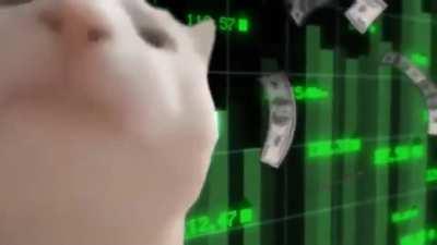 German Market ist open AMC +13,2 % ( $+1,85 USD) Total $ 15,83 USD