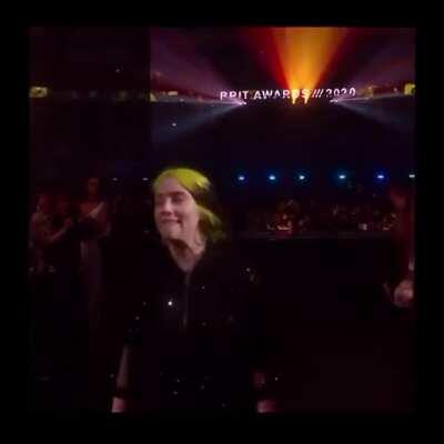 Stabilised Walk of Glory