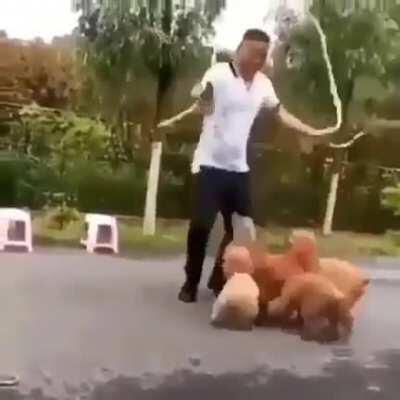 Pulando corda cellfofo