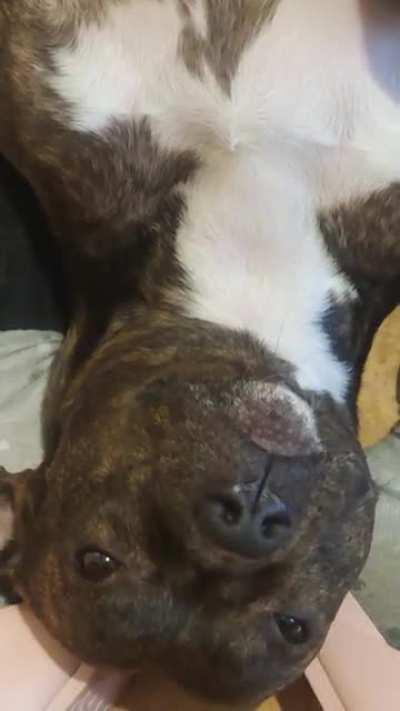 I just want to share this with someone 😂