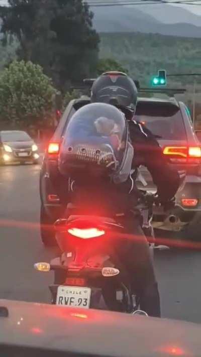 From r/PeopleFuckingDying