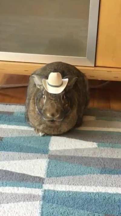 David sporting his little cowboy hat