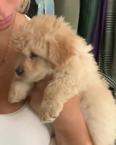 a girl and her dog part two