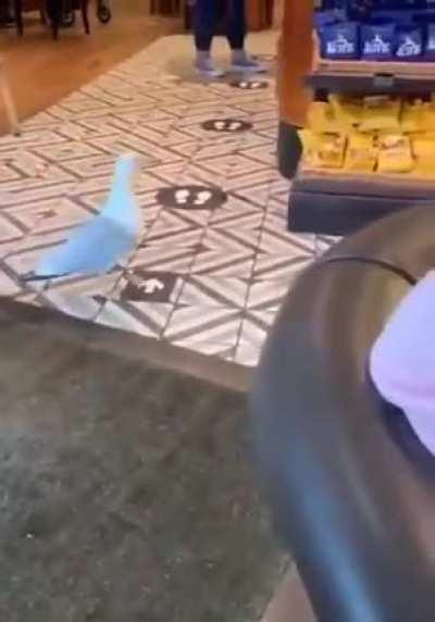 Can never trust the small ones