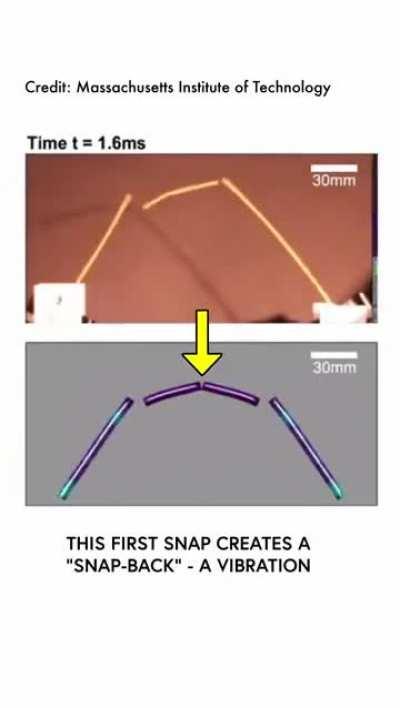 Trigger warning for all Italians !