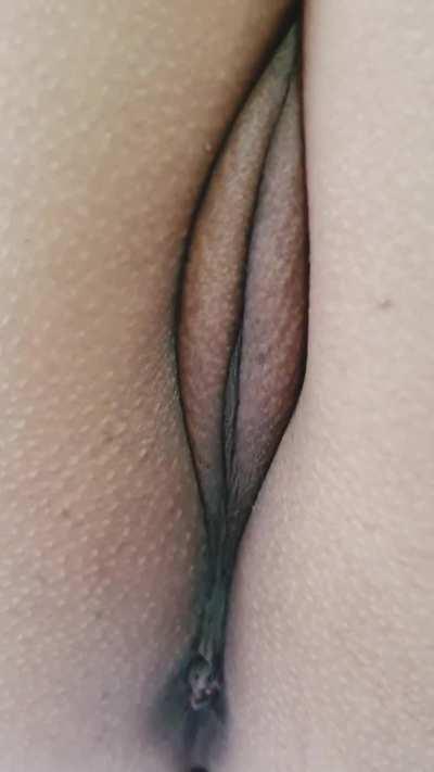 My pussy-shake brings all the boys to the yard