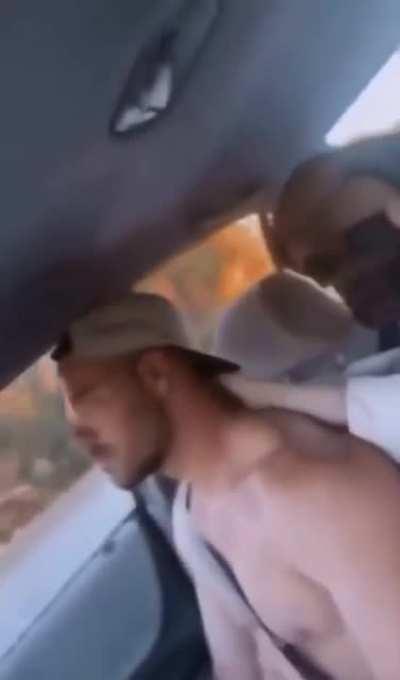 Travelling with pets