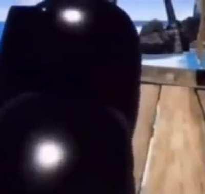 SquarePosting - Video #6173