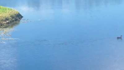 Someone told me you might like these guys