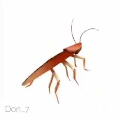 pod nego ney barata na live?😳