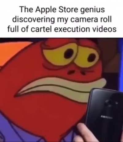 I have taken 3 to 4 hours to think and I decided that this sub will be used as my shitpost landfill(Im qualified as I have no friends) until the singular mod does something to determine how this subreddit will function(yes these are memes are stolen, I'm 